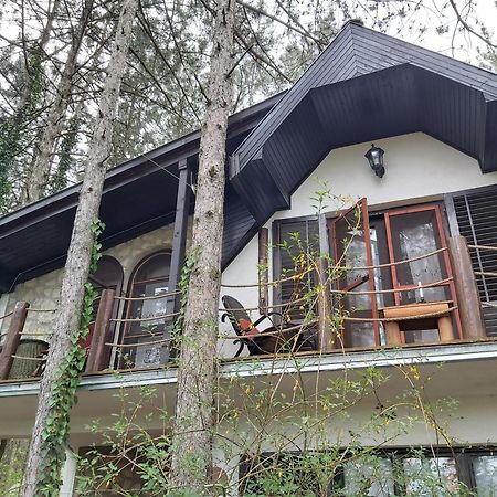 Guesthouse Bajka Vinci Værelse billede