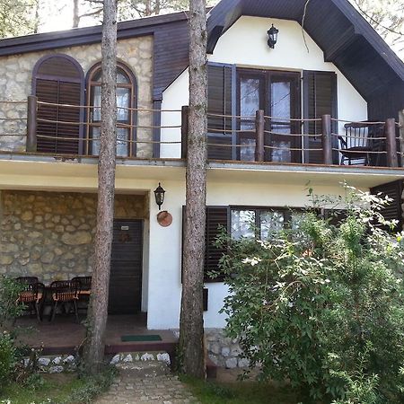 Guesthouse Bajka Vinci Eksteriør billede