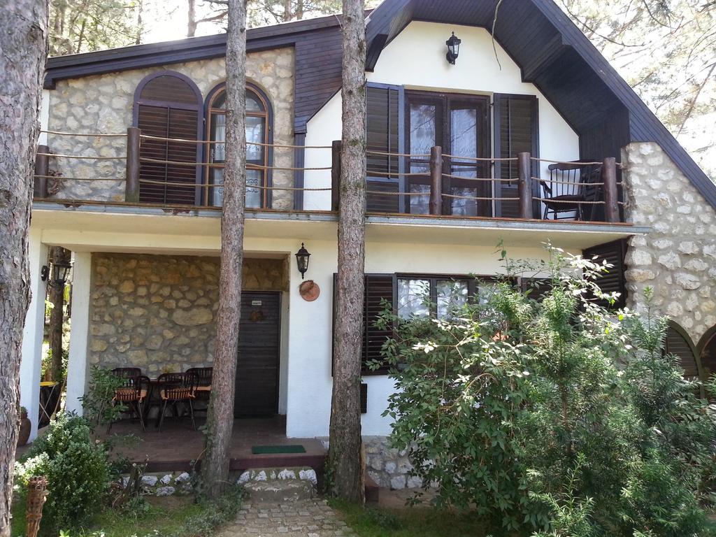 Guesthouse Bajka Vinci Eksteriør billede