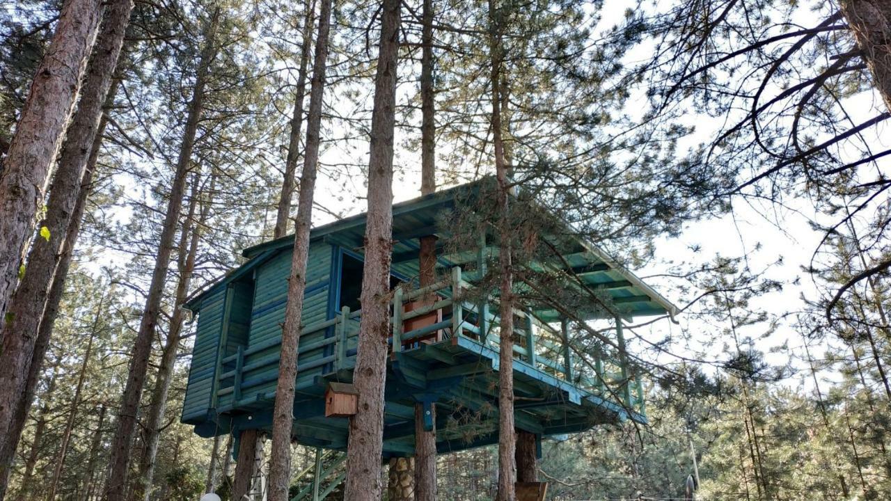 Guesthouse Bajka Vinci Eksteriør billede
