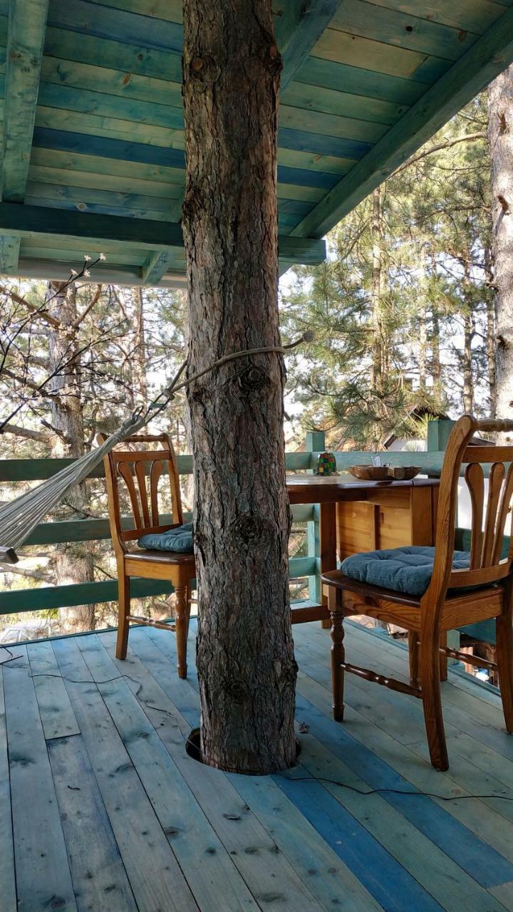 Guesthouse Bajka Vinci Eksteriør billede