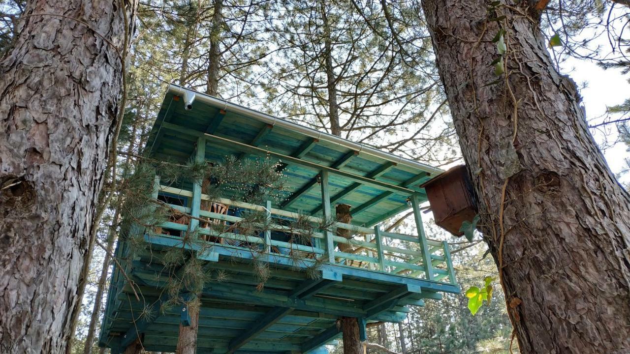 Guesthouse Bajka Vinci Eksteriør billede